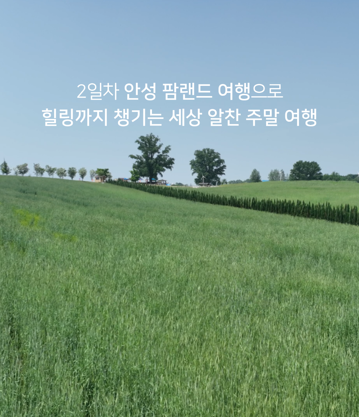 일정 이미지