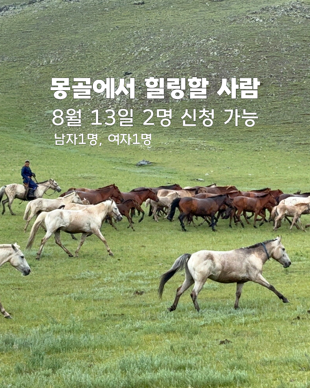몽골8월13일