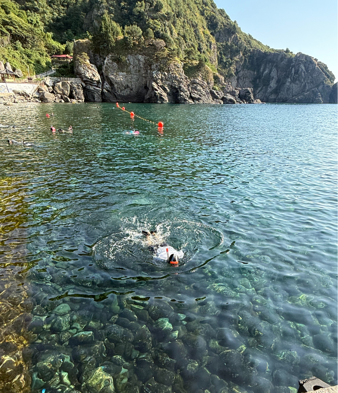 울릉도 대탐험 with 독도 원정대