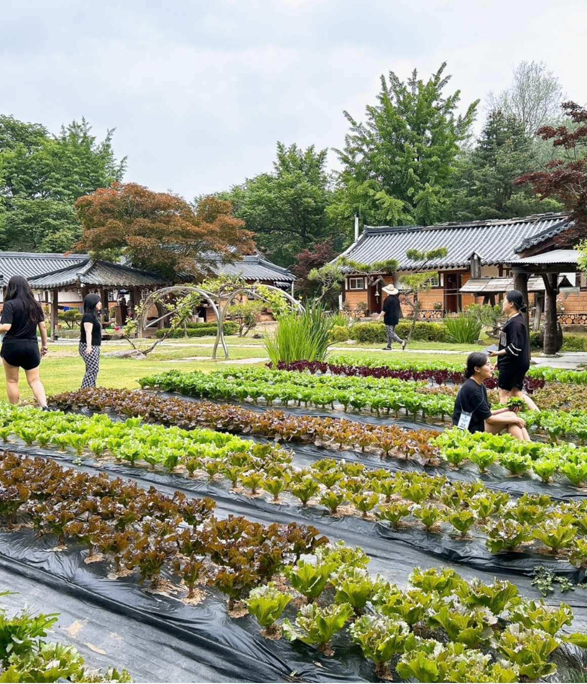 남양주, 리프레시 촌캉스