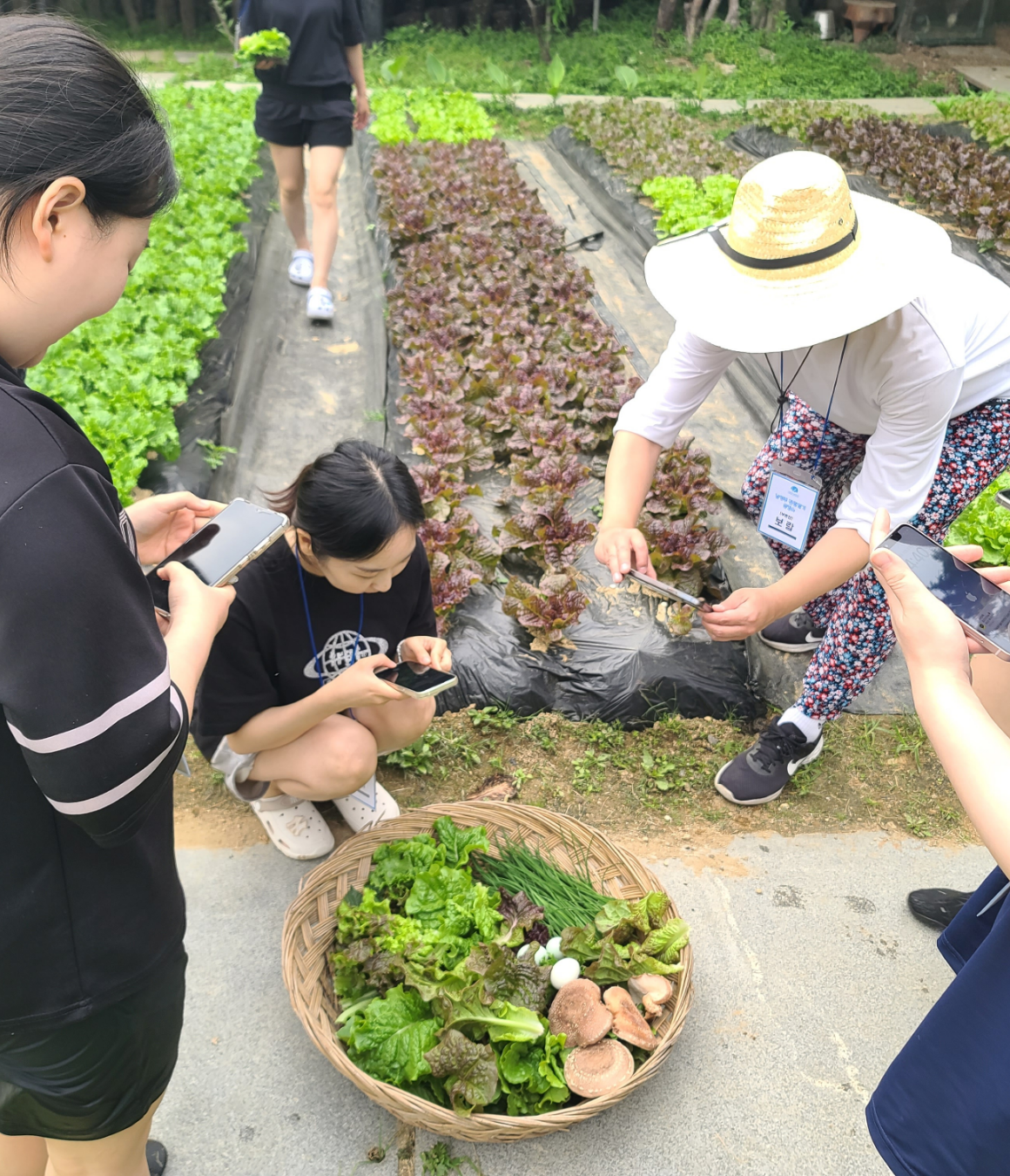 남양주, 리프레시 촌캉스