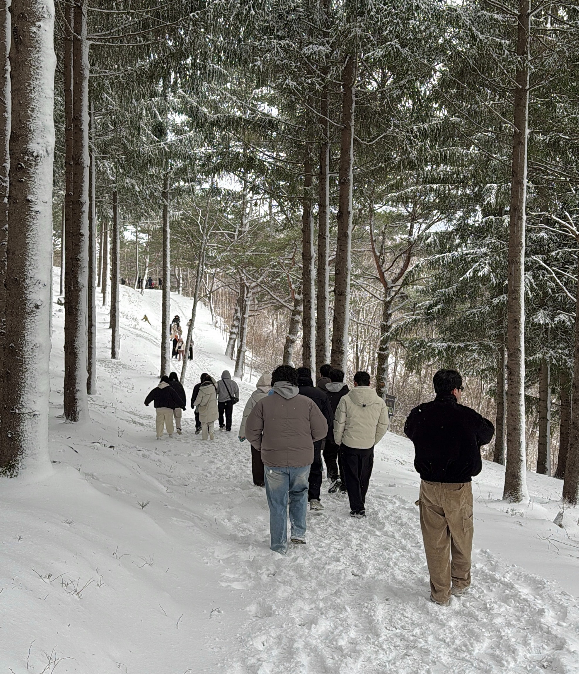 한국의 삿포로, 강원도 눈꽃 투어