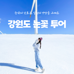 한국의 삿포로, 강원도 눈꽃 투어 이미지