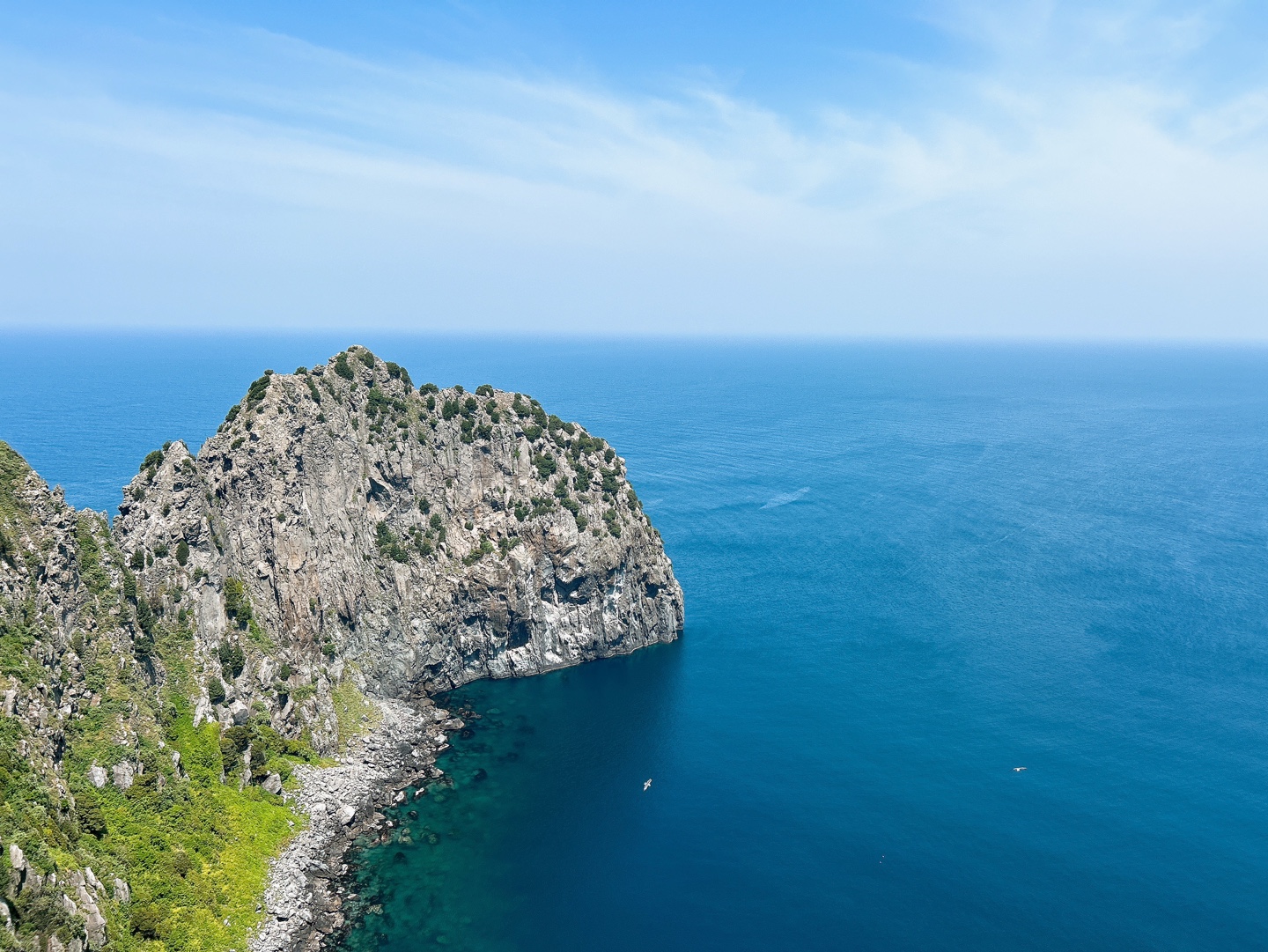 울릉도 대탐험 with 독도 원정대 (7,8월)