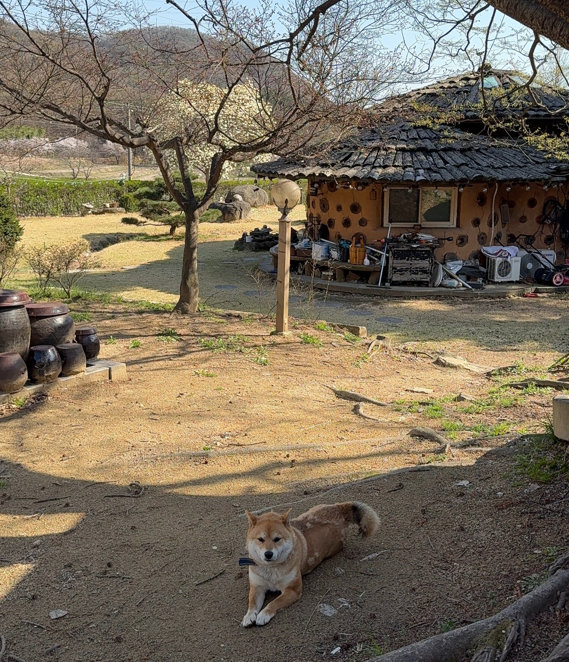 [알림신청폭주] 경기 남부권 주목, 안성 청춘 촌캉스 오픈 임박 (1기 7월25일 예정)