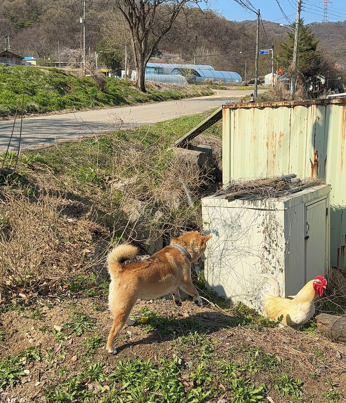 [가을기수 OPEN] 솥뚜껑에 바베큐 구워먹는 안성 낭만 촌캉스 (10월 10일, 24일)