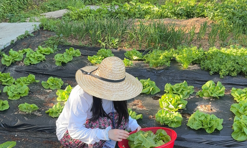 [가을 기수 OPEN] 촌캉스 즐기기 가장 좋은 계절, 남양주 가을 촌캉스 (10월 3일, 17일, 31일)