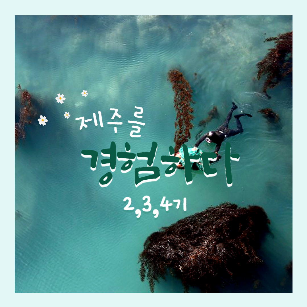 강촌 서바이벌 엠티 4기 대표이미지